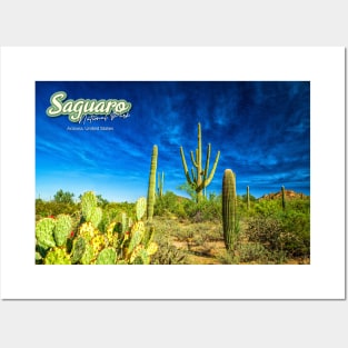 Saguaro National Park Posters and Art